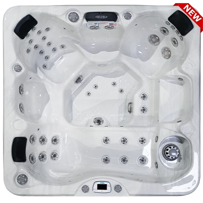 Costa-X EC-749LX hot tubs for sale in Coonrapids