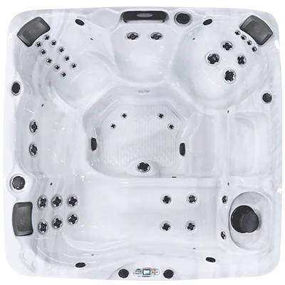 Avalon EC-840L hot tubs for sale in Coonrapids