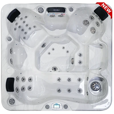 Avalon-X EC-849LX hot tubs for sale in Coonrapids